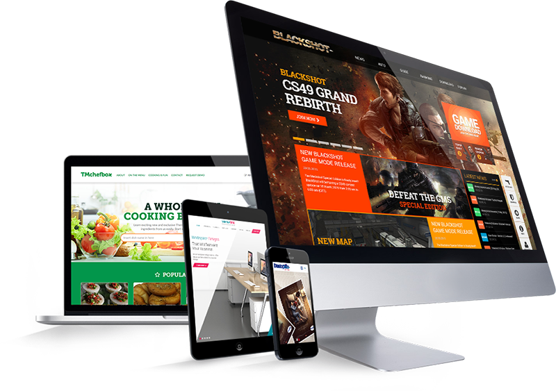  Website Designer Company
