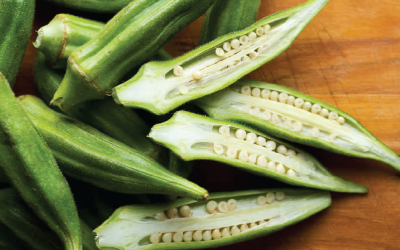 Benefits of Okra Water To women Health Sex