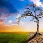 Climate Change Effectc