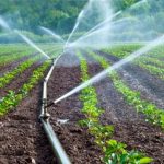 Rural Farming in Kenya