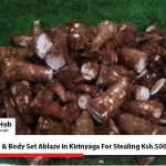 Man Killed In kirinyaga for Stealing Nduma-01
