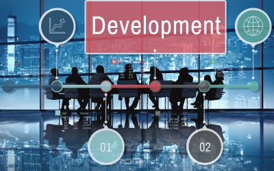 Software Development