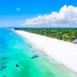 Diani Beach Safari - Trendblend Hub