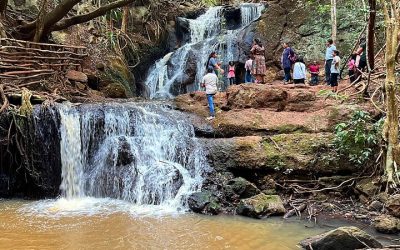 Karura Forest in kenya